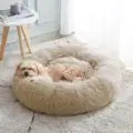 Signature Cubble Bed