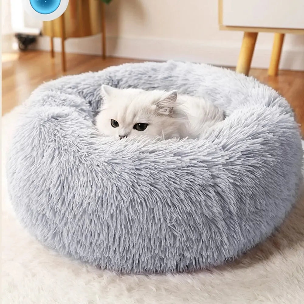 Signature Cubble Bed